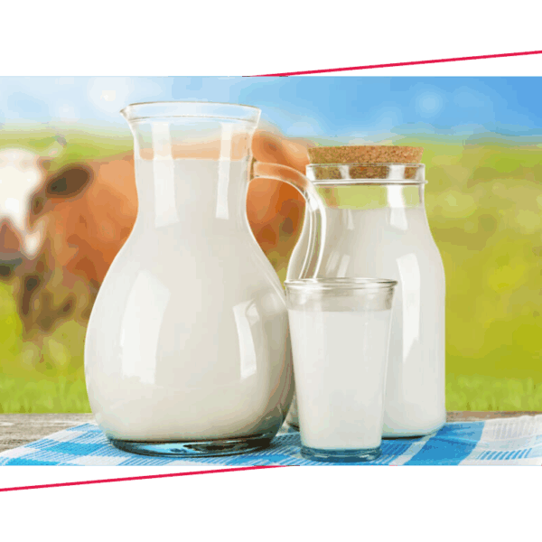 Молочная продукция